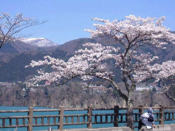 Hotel Kojokaku Katashina Luaran gambar